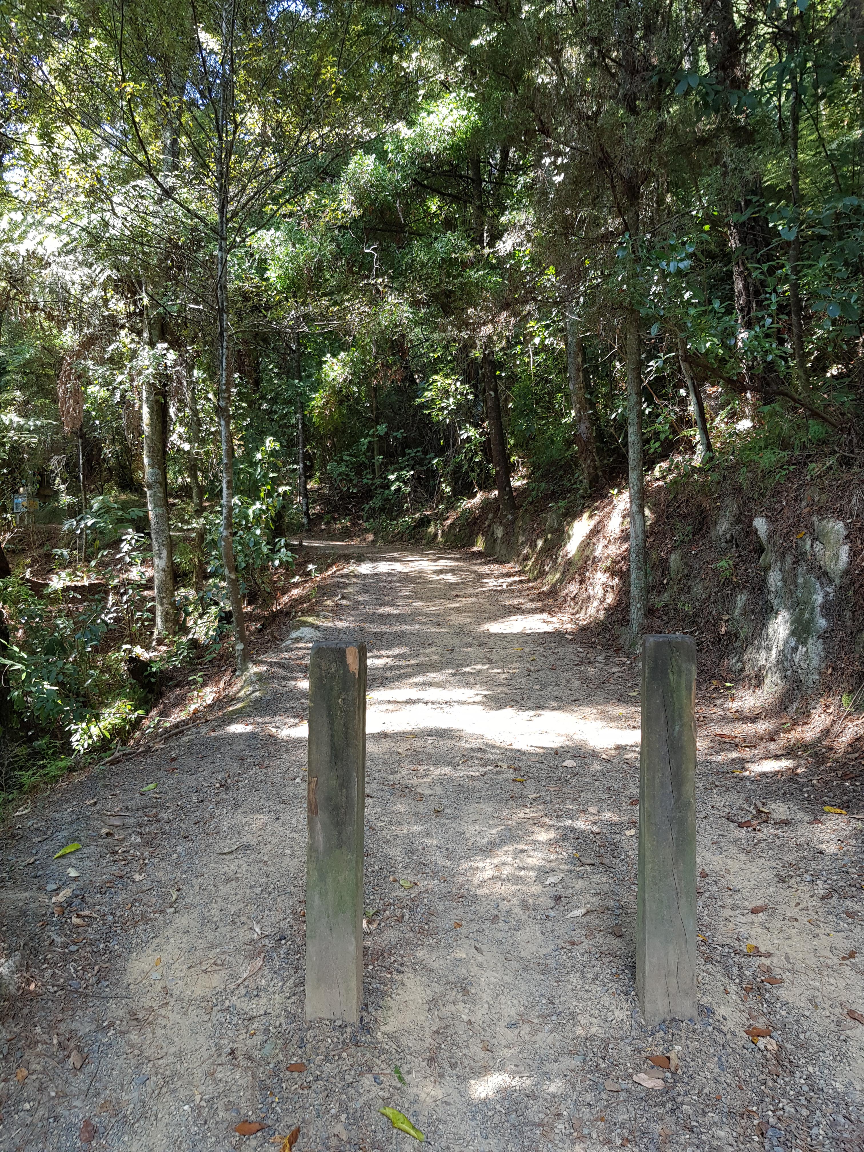 Parihaka discount mtb park