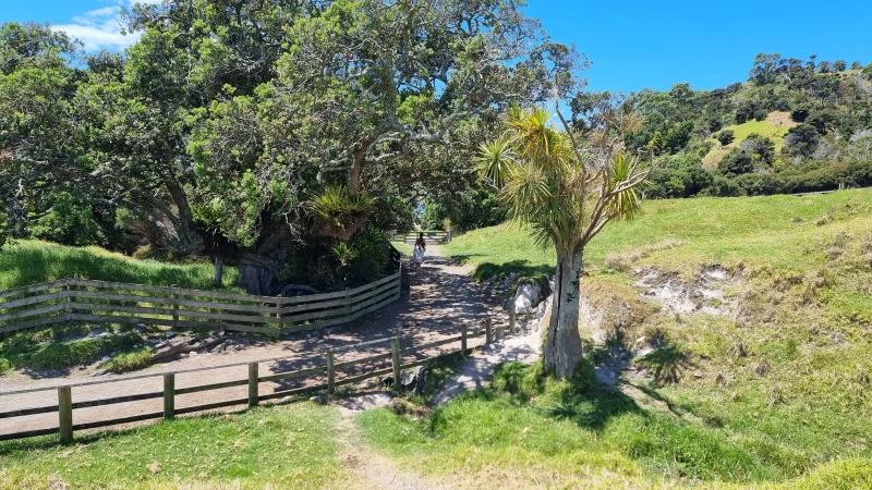 Smuggler Bay track entrance