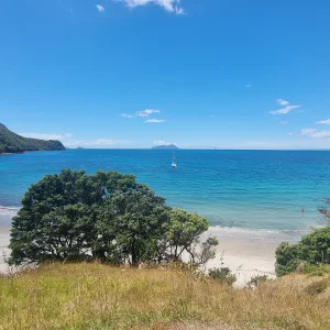 Smugglers Bay looking out to the Hen and Chicks Islands