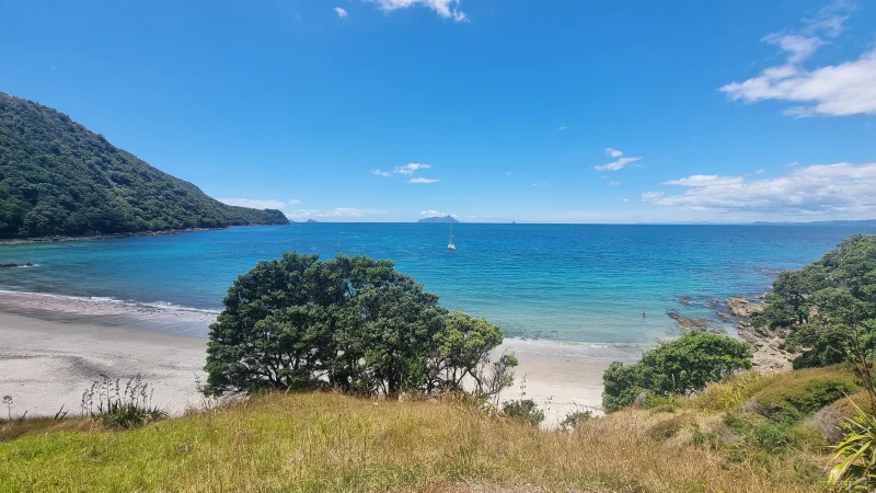 Smugglers Bay looking out to the Hen and Chicks Islands