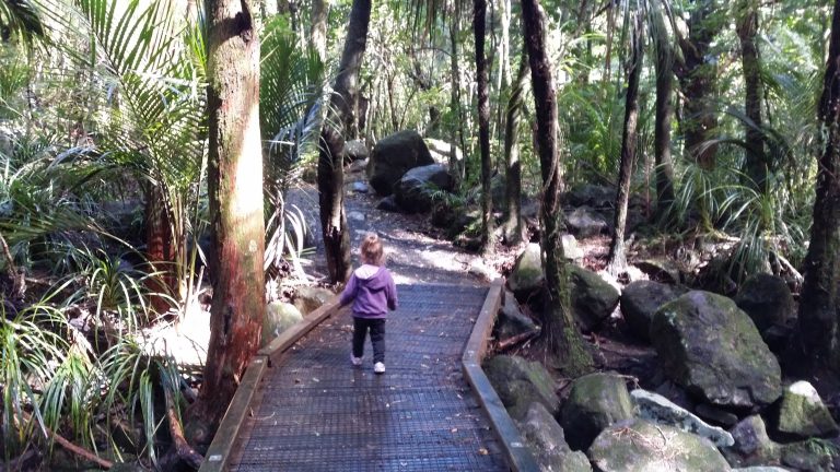 AH Reed toddler walking 768x432