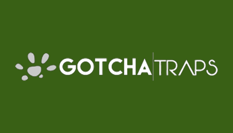 Gotcha Traps 768x439