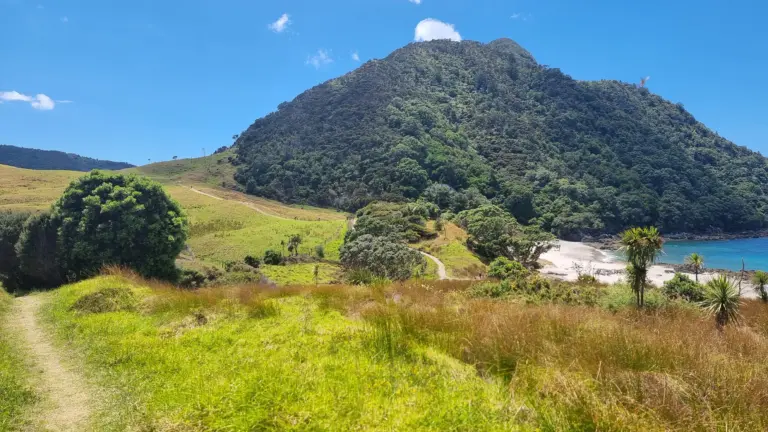 Track entering Smugglers Bay from Busby Head 768x432