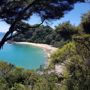 Whale Bay, Tutukaka Coast, Whangarei