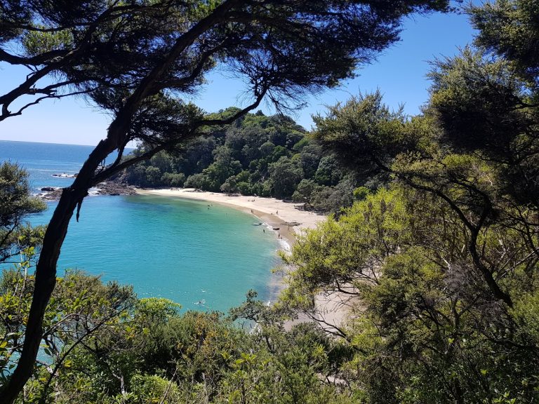 Whale Bay from walking track 768x576