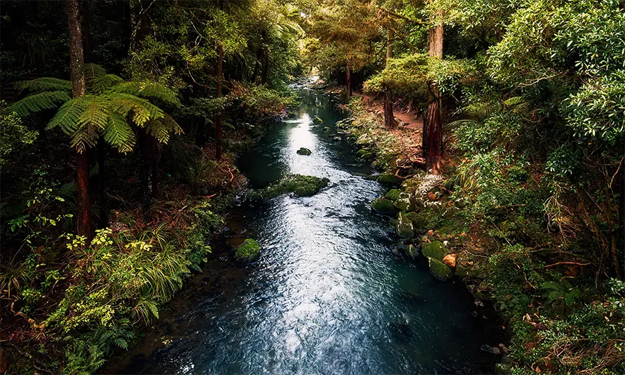 Photo of the Hatea river below the Whangarei falls.