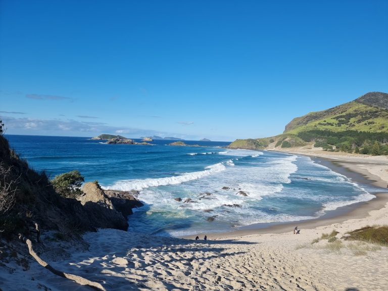 Sunny day at Ocean Beach 768x576