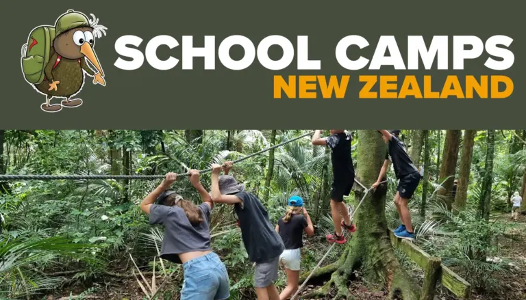 school camps banner 1 768x439