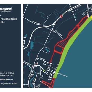 A map of the North end of Ruakākā Beach allowing dogs.
