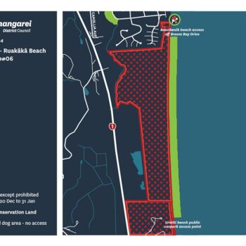A map of the South end of Ruakākā Beach allowing dogs.