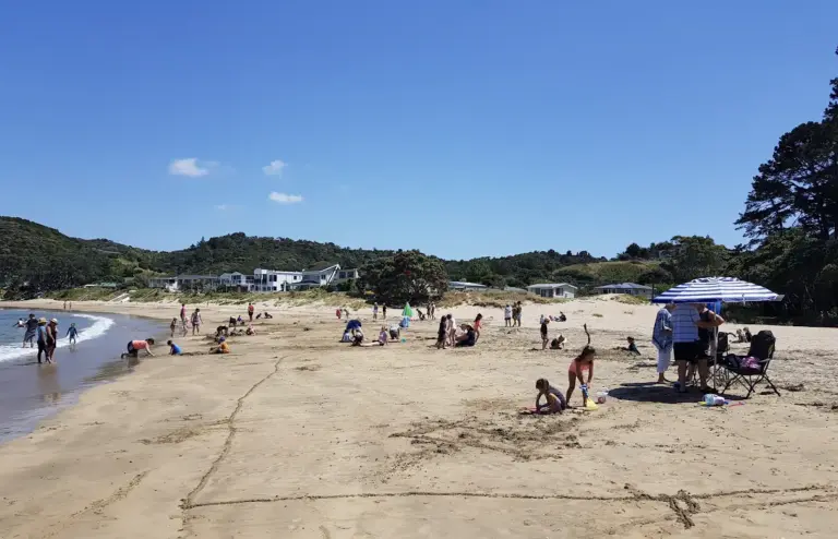 Wellingtons Bay 768x494