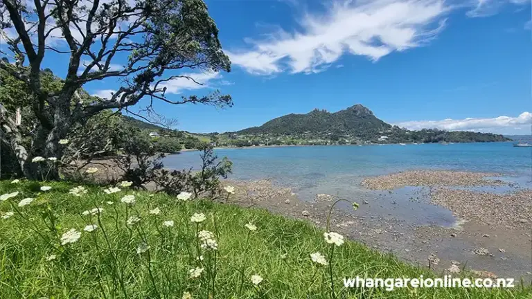 McLeod Bay Whangarei Heads 768x432