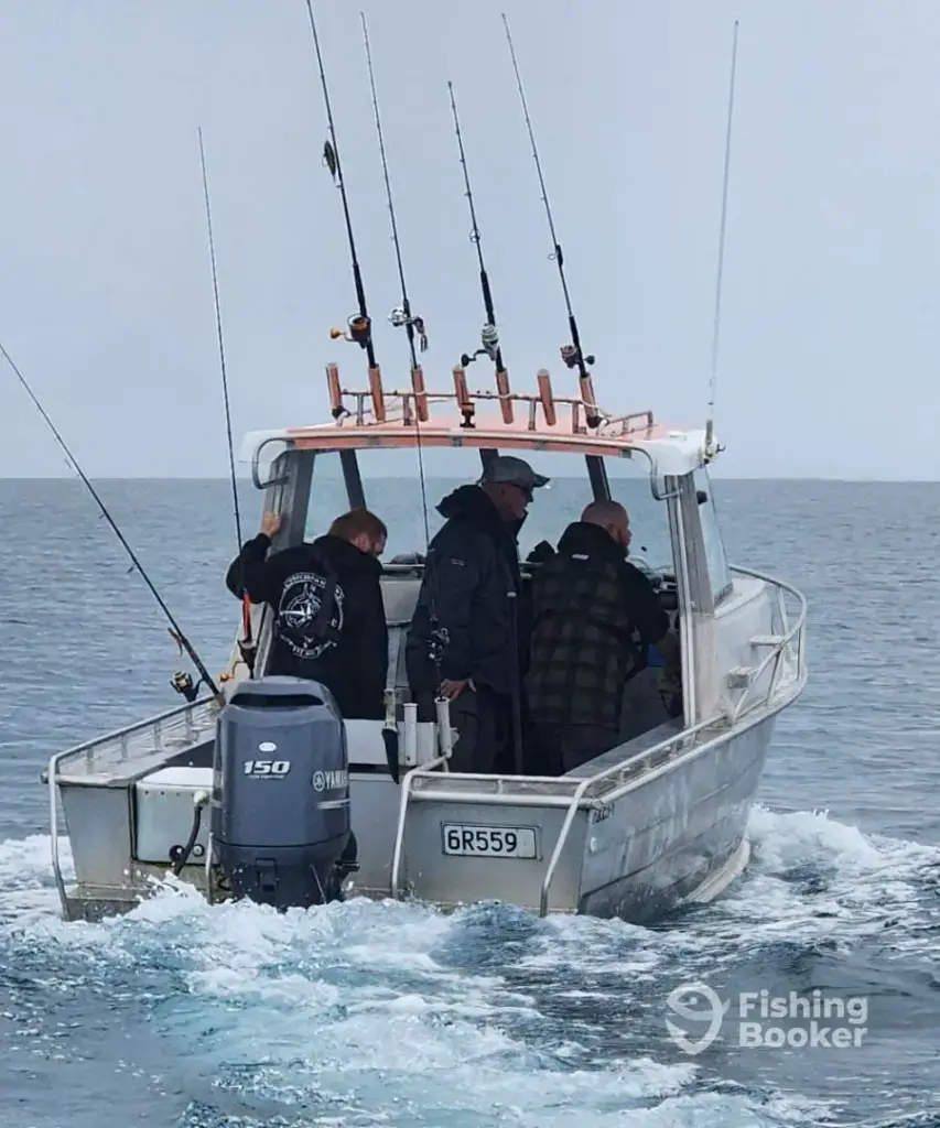 Snap small fishing charter boat 853x1024