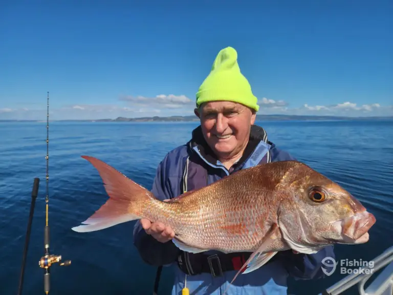 Snapper Fishing Whangarei Snap 768x576