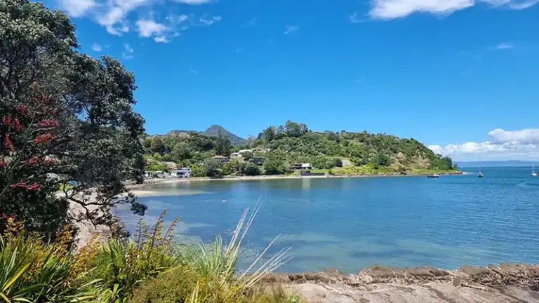 Taurikura Bay 768x432