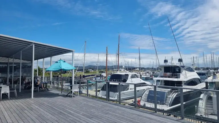 Oregano Marsden Cove 1 768x433