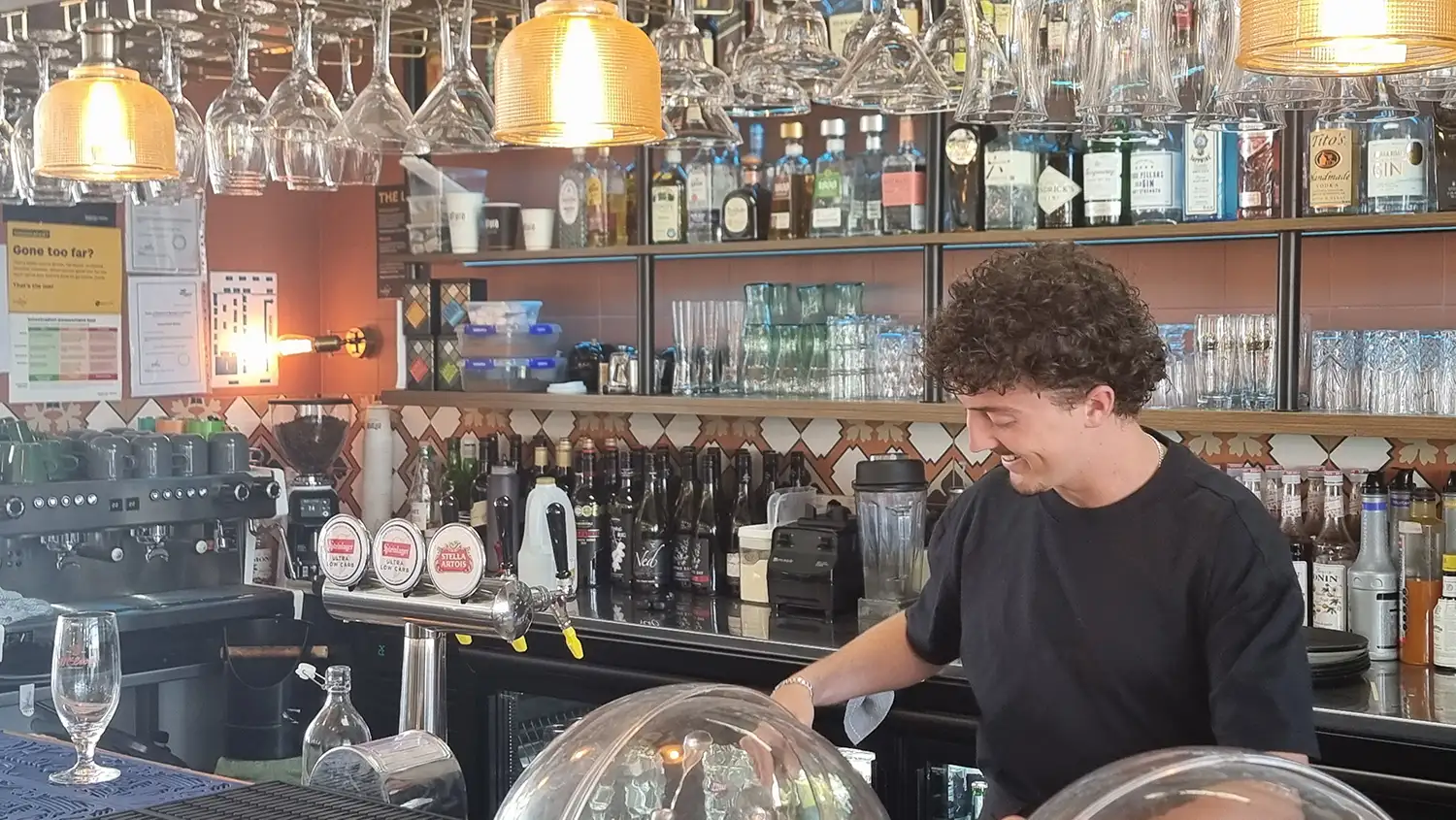 Oregano Marsden Cove