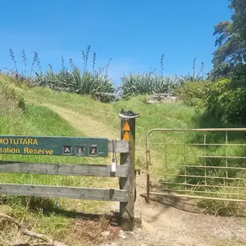 Entrance to walking track from Motutara Farm Campsite