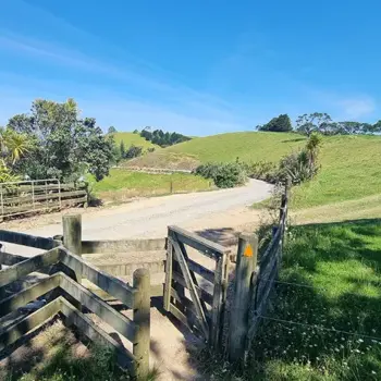 Road down to the Motutura Farm campground at Kings Beach