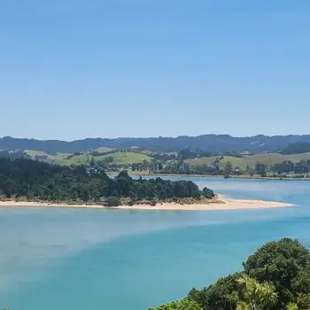 View back down Whananaki Estuary