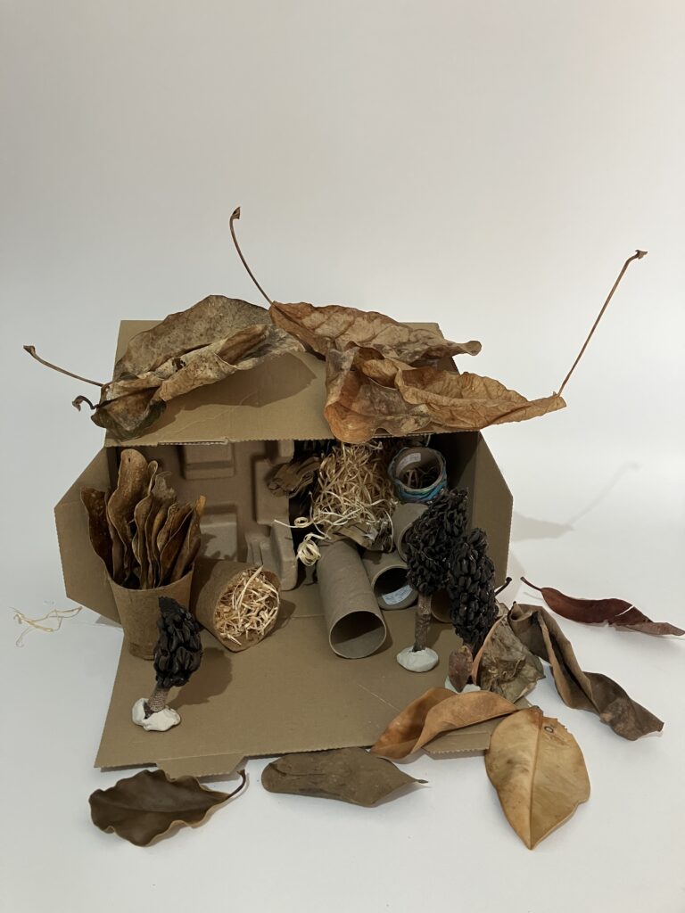 Bug Hotel 2 768x1024