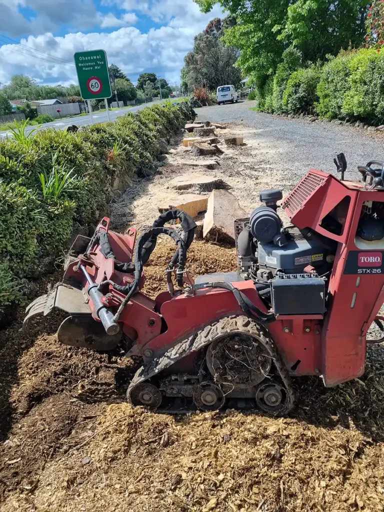 stump grinding 768x1024