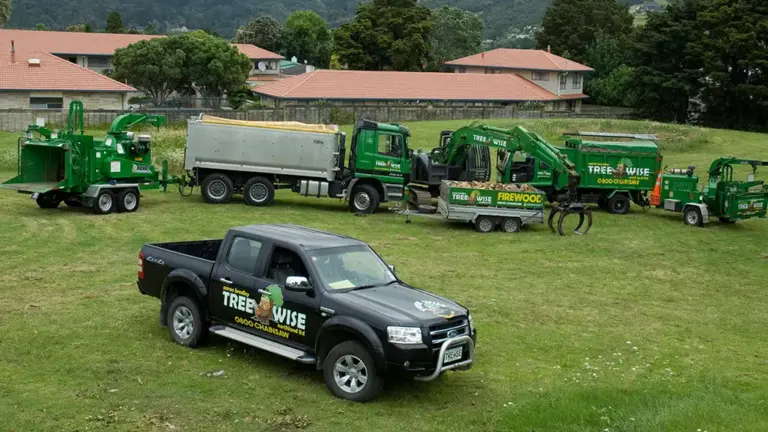 tree wise arborists 768x432